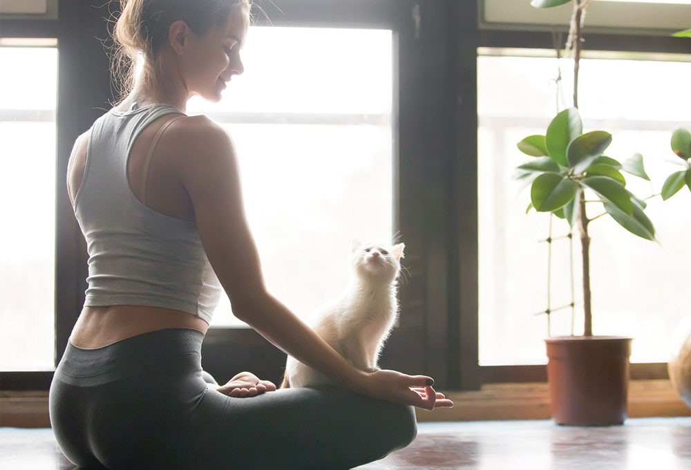 Evden takip edebileceğiniz 3 yoga dersi