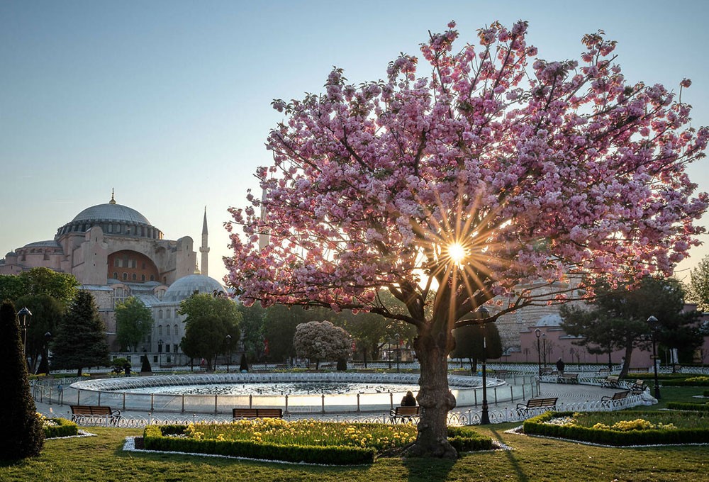 Dünyada en güzel sakura manzarasına sahip 10 şehir