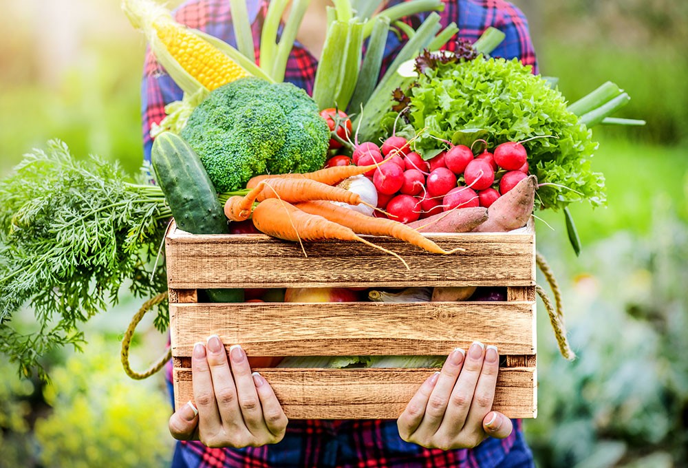 Doğanın beslenme takvimi: Mevsimlik sebze ve meyveler