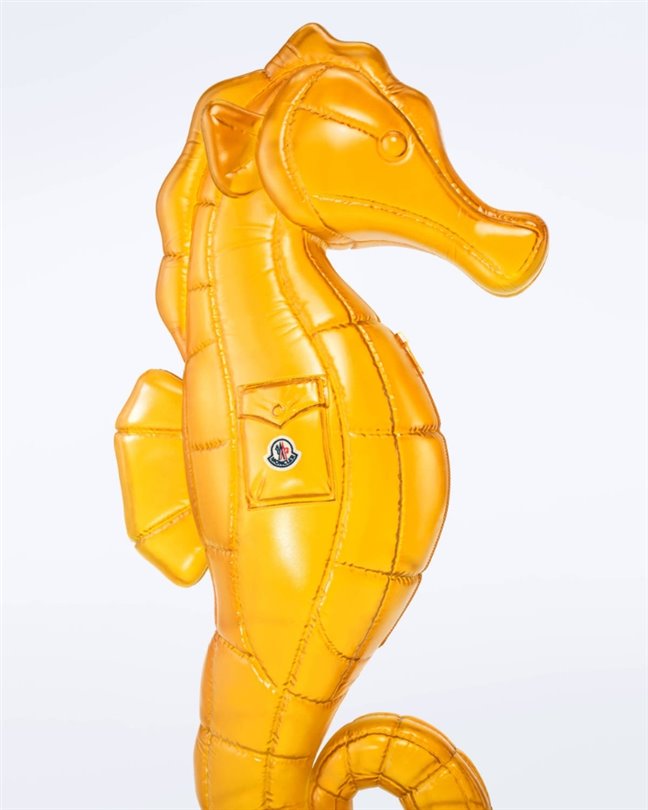 Moncler ve Jamie Dornan, ‘Kabarık bir yaz geçirin’ diyor