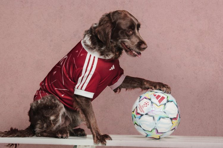 adidas Originals, Real Madrid ve Manchester United formalarını evcil hayvanlar için yeniden tasarladı